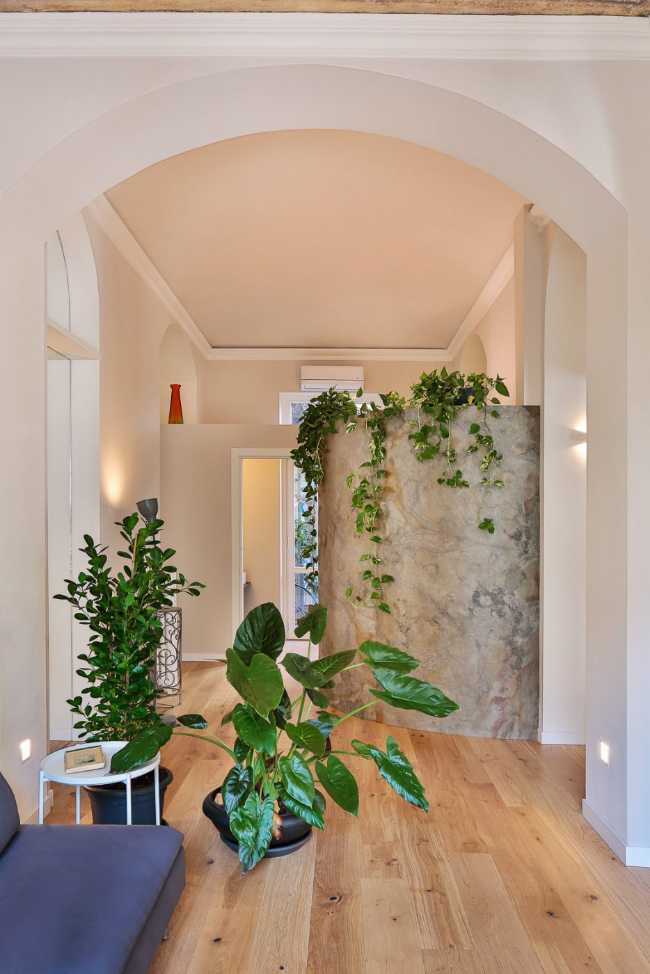 Hanging plants and arches