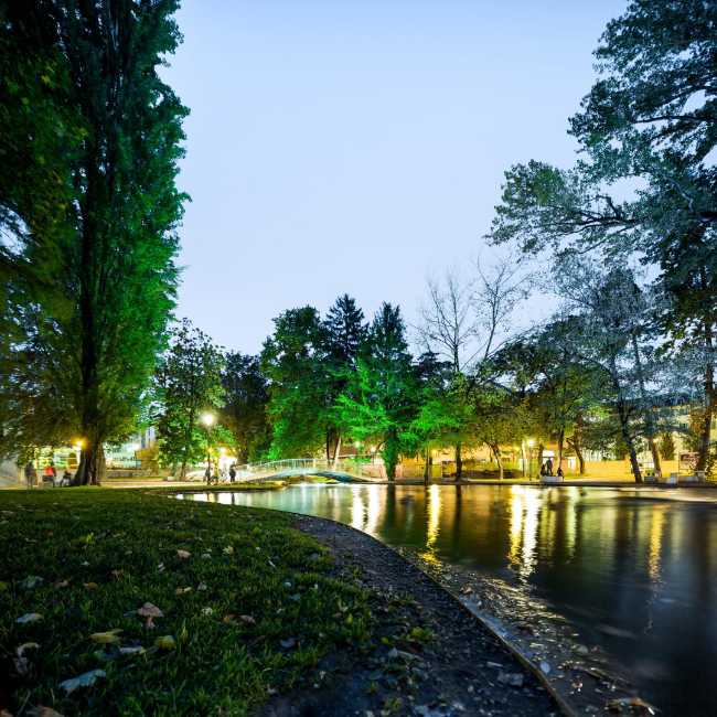 Pond and lights