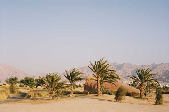 Organic architecture for Ayla Golf Academy & Clubhouse in the desert