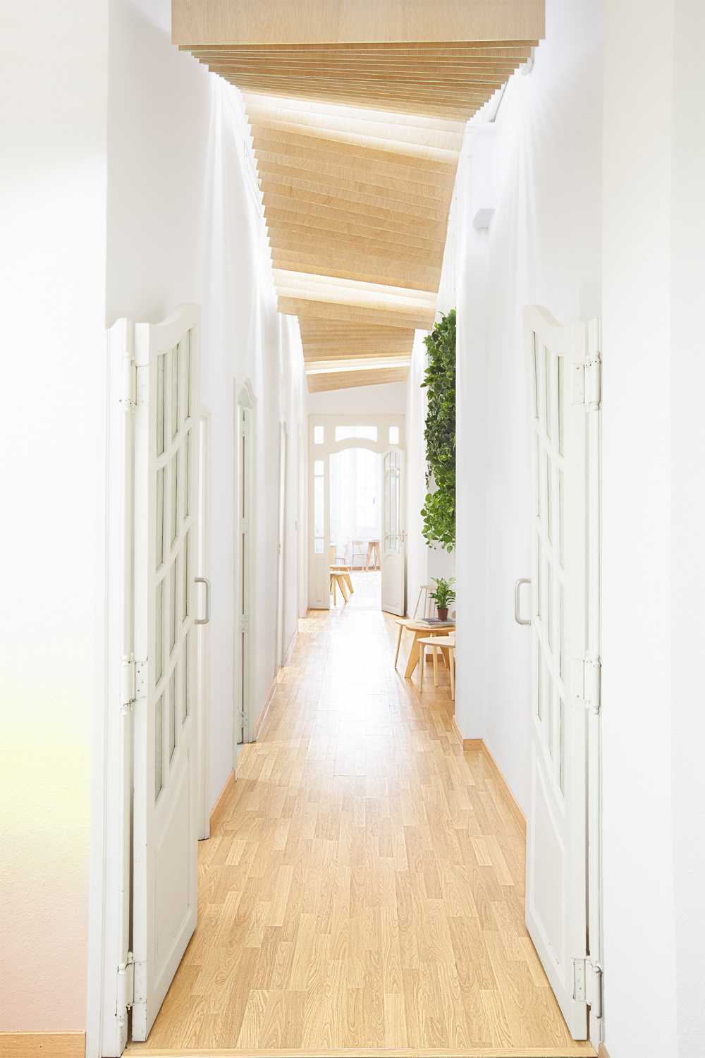 Language school with wooden interior