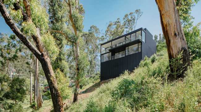Hill and house among the trees