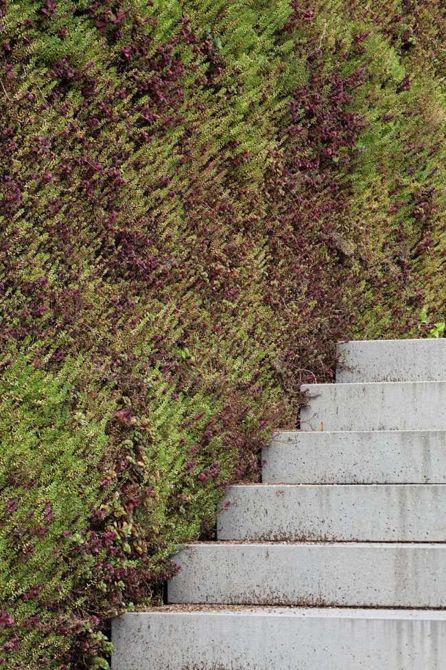 Detail of stairs and green wall