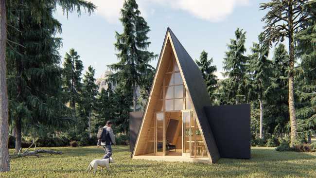 Wooden cabin with triangular shape