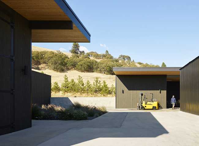 Structure of wine tasting