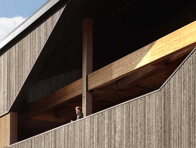 Multifunctional center in carbonized wood