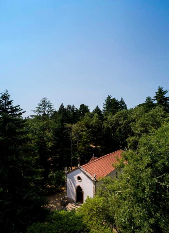 Chapel among the trees