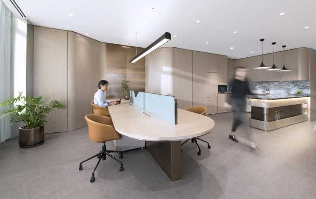 New design for an office in Hong Kong. Luxury workspace with organic shapes