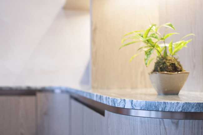 New design for an office in Hong Kong. Luxury workspace with organic shapes